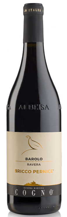 2019 Barolo "Bricco Pernice"